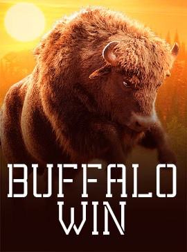 Buffalo Win