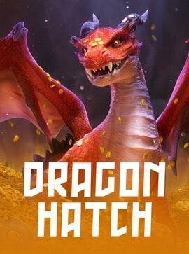 Dragon Hatch